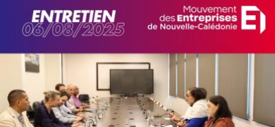 LE CODIR DU MEDEF-NC RECU PAR LA PRESIDENTE DU CONGRES