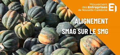 Alignement du Salaire Minimum Agricole sur le SMG