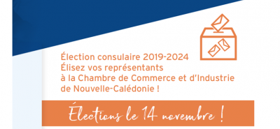 Les prochaines élections de la CCI-NC 2019-2024 