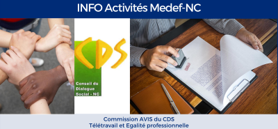 Commission AVIS du CDS sur les projets de textes : égalité professionnelle et télétravail 