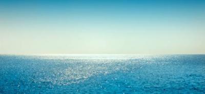 Entreprises : Des solutions pour agir aujourd'hui en faveur de la préservation de l'Océan