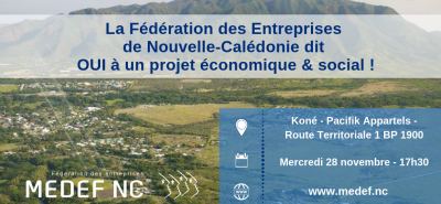 Délégation du MEDEF-NC à Koné