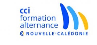 CCI - Nouvelles formations dans le secteur du numérique au centre de formation alternance