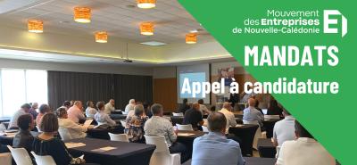 Mandats du MEDEF-NC : Appel à candidatures pour l'ADECAL, le FSH, L'IUT et le Lycée de Touho