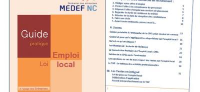 VIDEO GUIDE MEDEF-NC - Emploi Local / Codes ROME et Tableau des activités professionnelles