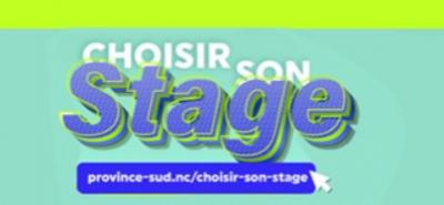 Province sud : Lancement de la plateforme en ligne "Choisir son stage" le 09 avril 2024