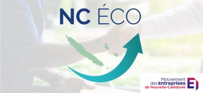 Communiqué NC ECO du 20/12/2024 relatif aux réformes portant sur la TGC et la CCS