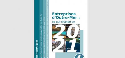 Fiches pratiques FEDOM « Entreprise d’Outre-mer : ce qui change en 2021 »