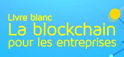 Guide MEDEF-NC sur la blockchain pour les entreprises